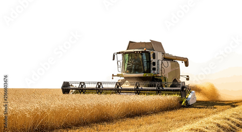 Modern Agricultural Combine Harvester Working in a Golden Wheat Field During the Summer Harvesting Season on a Clear Sunny Day