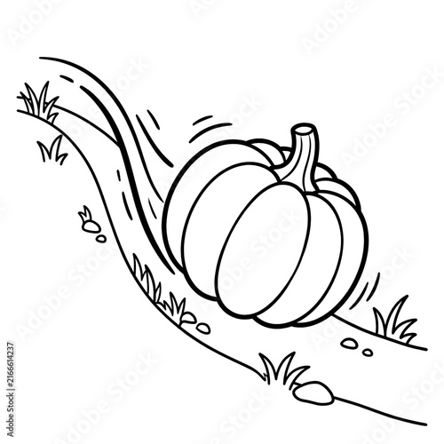 Hand-drawn sketch of whole raw pumpkin with vine and leaves on plain white background