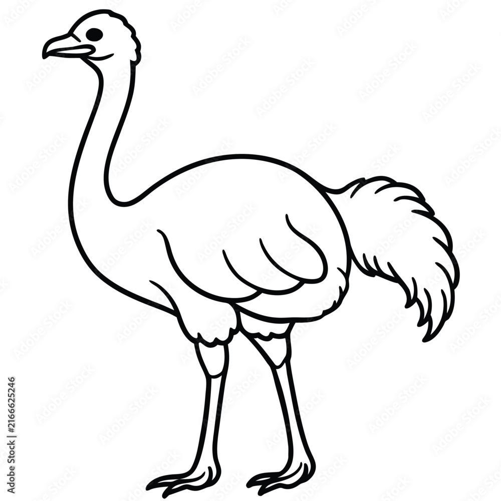 Naklejka premium Sketch of an ostrich walking with detailed feathers and long legs in black ink drawing