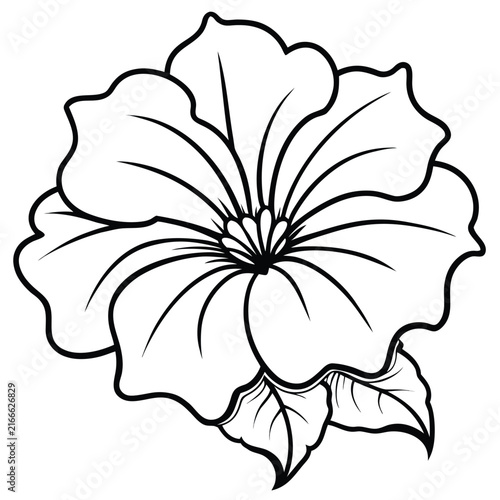 Peony flowers isolated vector illustration. Vector wildflowers for background. Abstract botanical art. Simple minimalist art set. Continuous line drawin