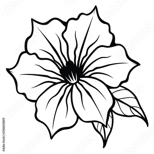 Peony flowers isolated vector illustration. Vector wildflowers for background. Abstract botanical art. Simple minimalist art set. Continuous line drawin