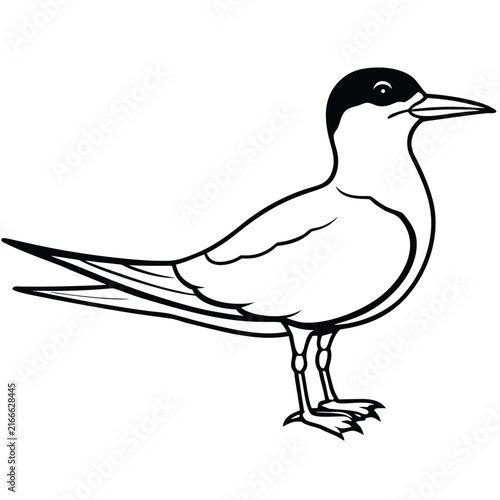 Budgerigar birds silhouette icon set, flat black glyph style, pure white background