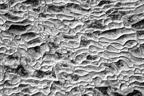 The travertine deposits of Pamukkale