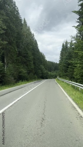 Smooth driving view along a curved mountain forest road under dramatic cloudy sky, creating vertical travel footage for road trip, tourism and adventure themes.