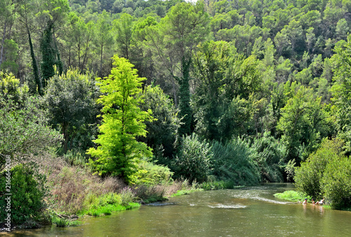 Rio Albaida en la Cova Negra de Xativa