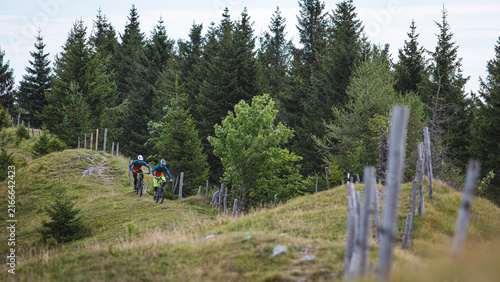 Mountain bikers riding across an alpine meadow in the Austrian Alps