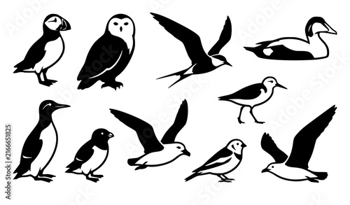 Arctic Wildlife Birds Puffin Owl Tern Eider Guillemot and Sanderling Vector Icons