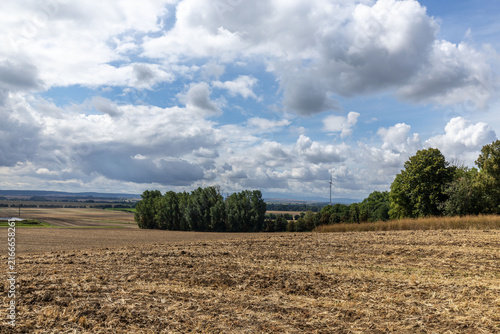 Landschaft  mit großen weisen Wolken und regen im Hintergrund