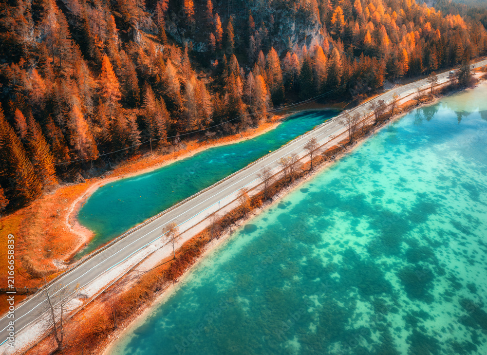 Fototapeta premium Asphalt road highway along turquoise alpine lake in Dolomites, Italy. Aerial top down drone view of coastal road, clear water, orange larch forest slope and autumn mountain landscape. Fall colors
