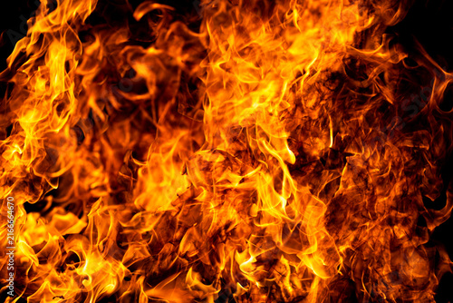 Quadro su tela Fire lights orange flame