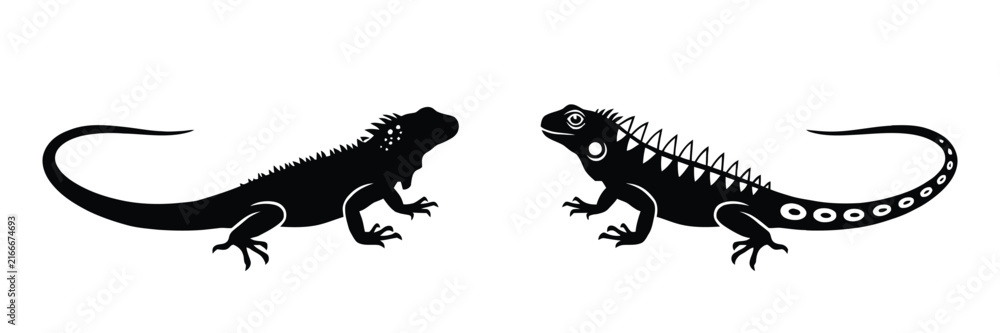 Fototapeta premium Two detailed black silhouettes of iguanas facing each other, one with a textured body and one with patterned scales, isolated on a plain white background