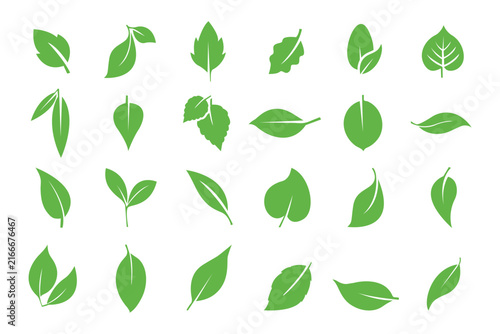 Green Leaf Silhouette Collection – Black Nature Foliage Shapes and Garden Plant Vector Icons.eps10
