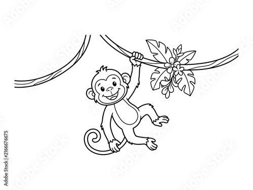 Playful monkey swinging from vines detailed line art isolated on transparent background