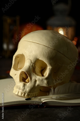 Closeup skull on a journal book