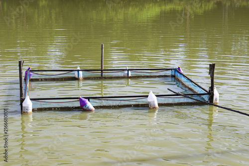 фотографія Floating fish cage with plastic bottle buoys in a murky green pond