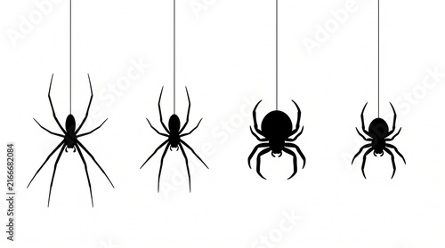 Four black spider silhouettes hanging on thin threads against white background for Halloween decor