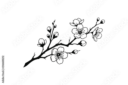 Cherry blossom branch illustration depicts delicate floral ornamentation in a black and white style ornament