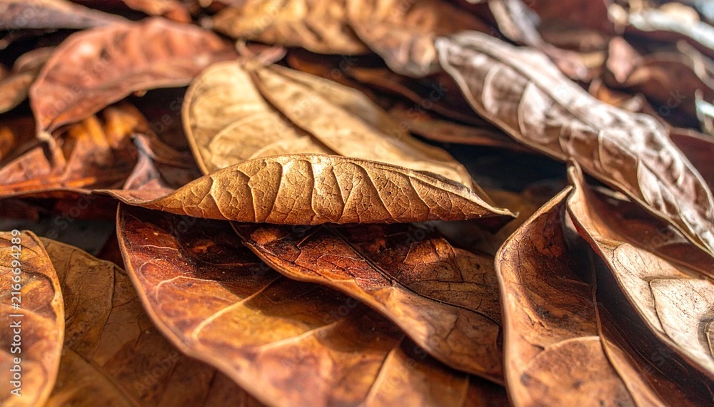 Obraz premium Dried Autumn Leaves Close Up Texture Pattern.