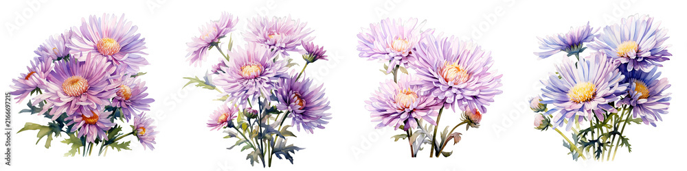 Fototapeta premium Watercolor painting featuring delicate purple chrysanthemums against a black background