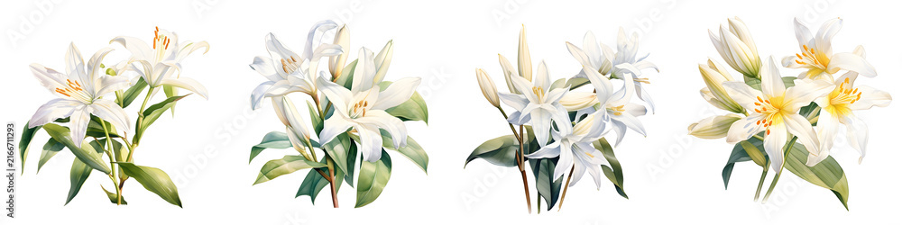 Fototapeta premium Four watercolor compositions of madonna lilies in full bloom on a black background