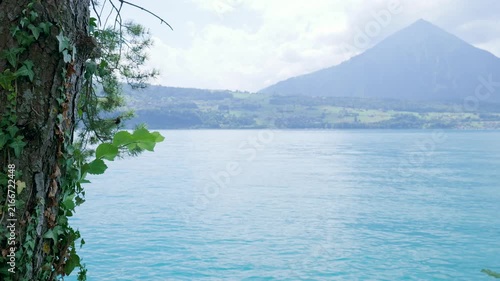 Tranquil waters of lake thun shimmering with the majestic niesen mountain in the swiss alps. Switzerland