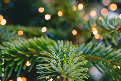 Obraz na plátně Close-up of green fir tree branches with glowing warm fairy lights in the backgr