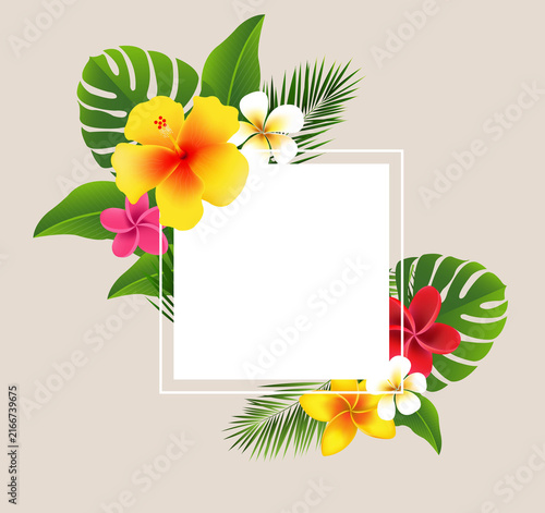 Summer Tropical Flowers And Frame