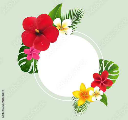 Summer Tropical Flowers And Banner