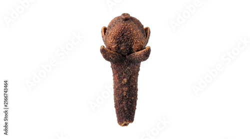 Single dried whole clove spice isolated on transparent background for culinary and aromatic use in professional cooking