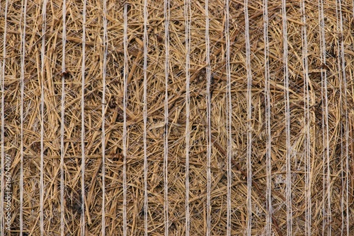 Hay Bale Texture Close Up with Net Wrap in Agriculture