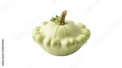 Single white patty pan squash isolated on transparent background with green stem and scalloped edges