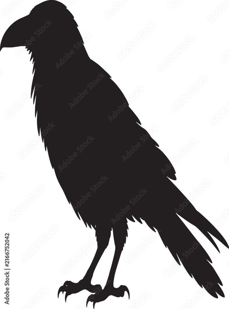 Fototapeta premium Black Raven Silhouette Vector Illustration