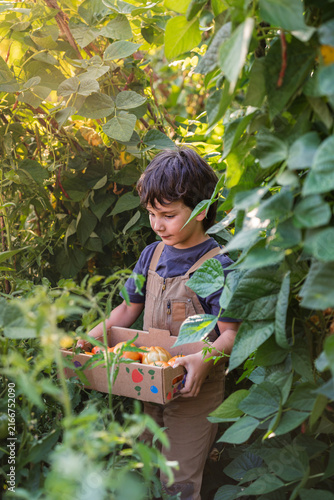 Child holds a basket filled with fresh vegetables