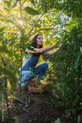 Sunlight filters through green leaves above her