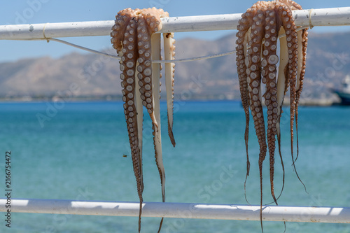 Fresh octopus hung out to dry on a taverna railing above the turquoise sea, Greece