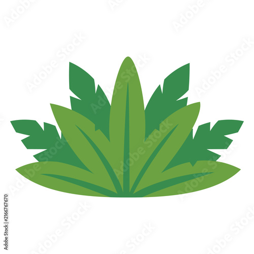 Tropical Green Jungle Leaves Vector Illustration