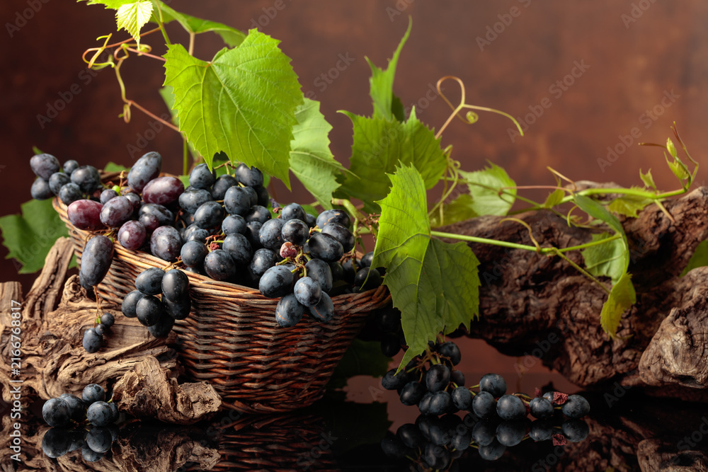 Naklejka premium Blue grapes and vine branches on a black reflective background.
