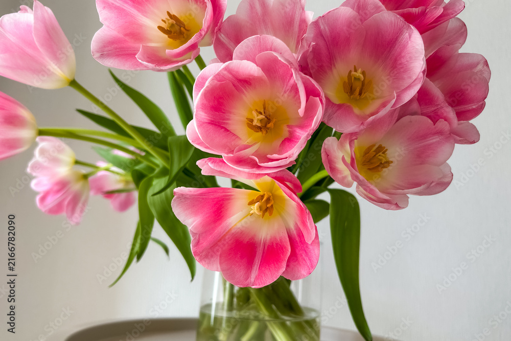 Obraz premium Bright pink tulips in a glass vase placed on a table near a window in a cozy room during daytime
