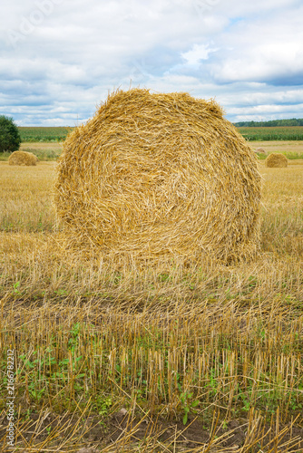 Large round hay bale on harvested agricultural field close up. Vertical shot of straw roll in countryside under cloudy sky, harvesting season and farming concept.