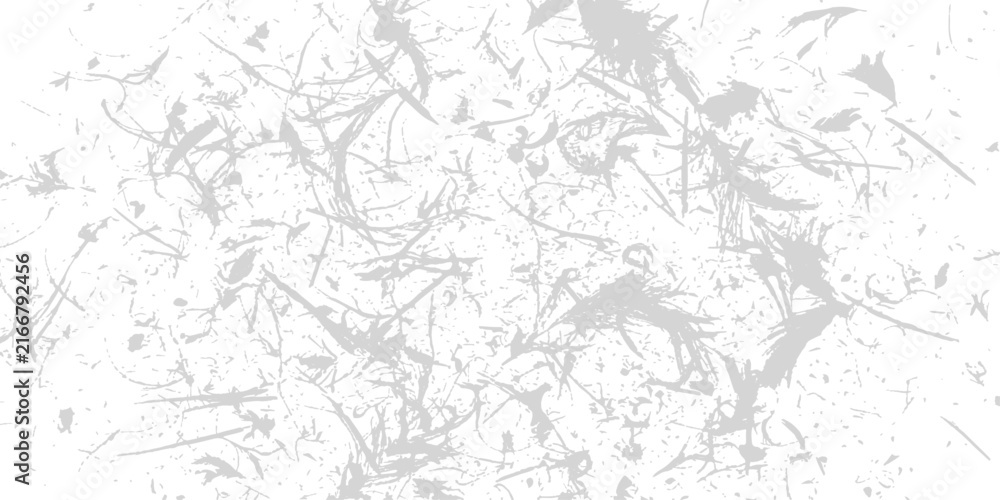 Obraz premium Abstract grey splatters and lines on white background suggesting chaos and texture for design elements