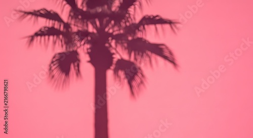 Palm tree silhouette against a vibrant pink sunset sky for tropical summer background.