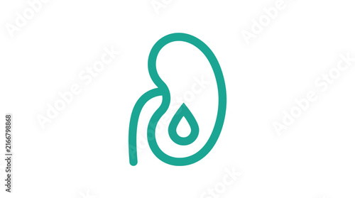 Teal kidney outline icon with droplet symbol for urology health awareness and medical diagnostic.