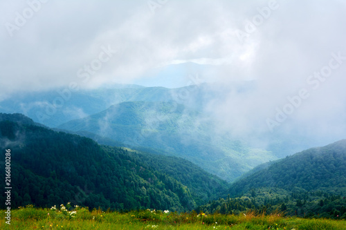 Forested mountains disappear into fog where trees and peaks blend with mist in mysterious layered landscape.