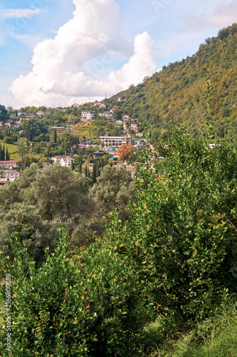 Small town nestled on gentle green hills. Peaceful rural landscape, countryside architecture, scenic village view.