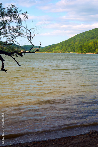 Wide river with sandy shore and tree branches on the left. Green hills on the opposite side. Waves on the water, clouds in the sky. Natural landscape.