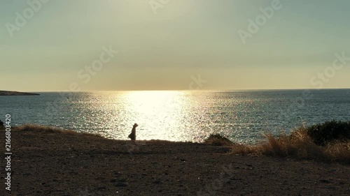 A cinematic video of a woman silhouette walking on a dry barren peninsula during warm summer evening sunset with a clear blue sky and calm sea in the background.