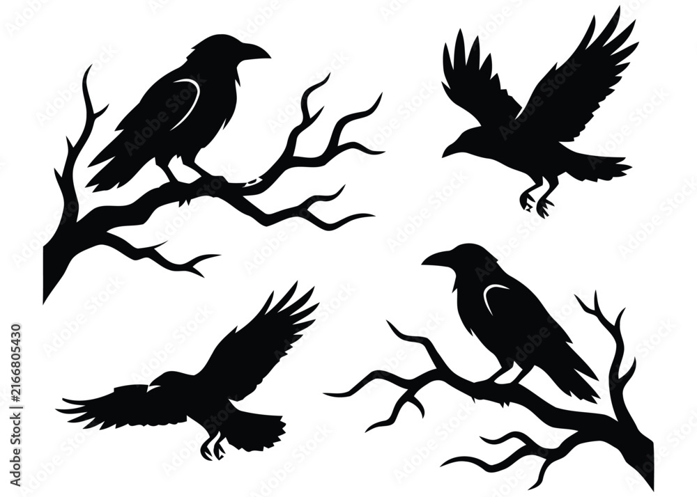 Obraz premium Black Crow and Raven Silhouette Set Flying Birds on Tree Branch