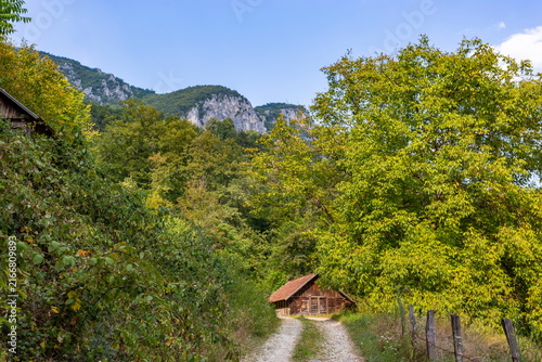 Wooden Barn and Country Road in Mountainous Landscape on Sunny Summer Day