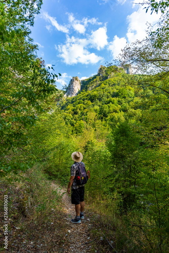 Back View of Male Hiker in Hat with Backpack Standing on Mountain Trail and Enjoying Scenic View