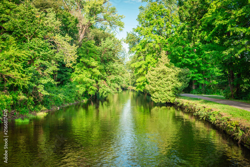 Cuadro en lienzo Glens Falls Feeder Canal Trail Under Green Tree Canopy in New York